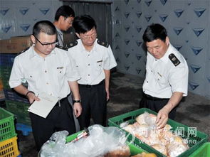 进出口食品安全检查体系与食品出口合规指南