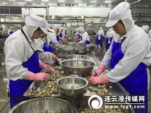 对接“一带一路”战略，打造新时代进出口食品安全大通道