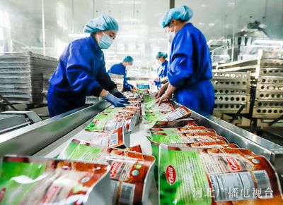 河北遵化 出口栗仁加工忙 特色产业助食品出口